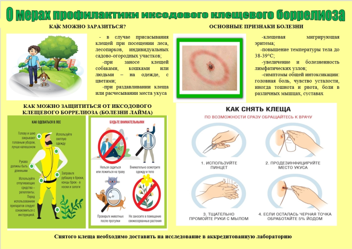 Памятка «О мерах профилактики иксодового клещевого боррелиоза» Памятка «О мерах профилактики иксодового клещевого боррелиоза».